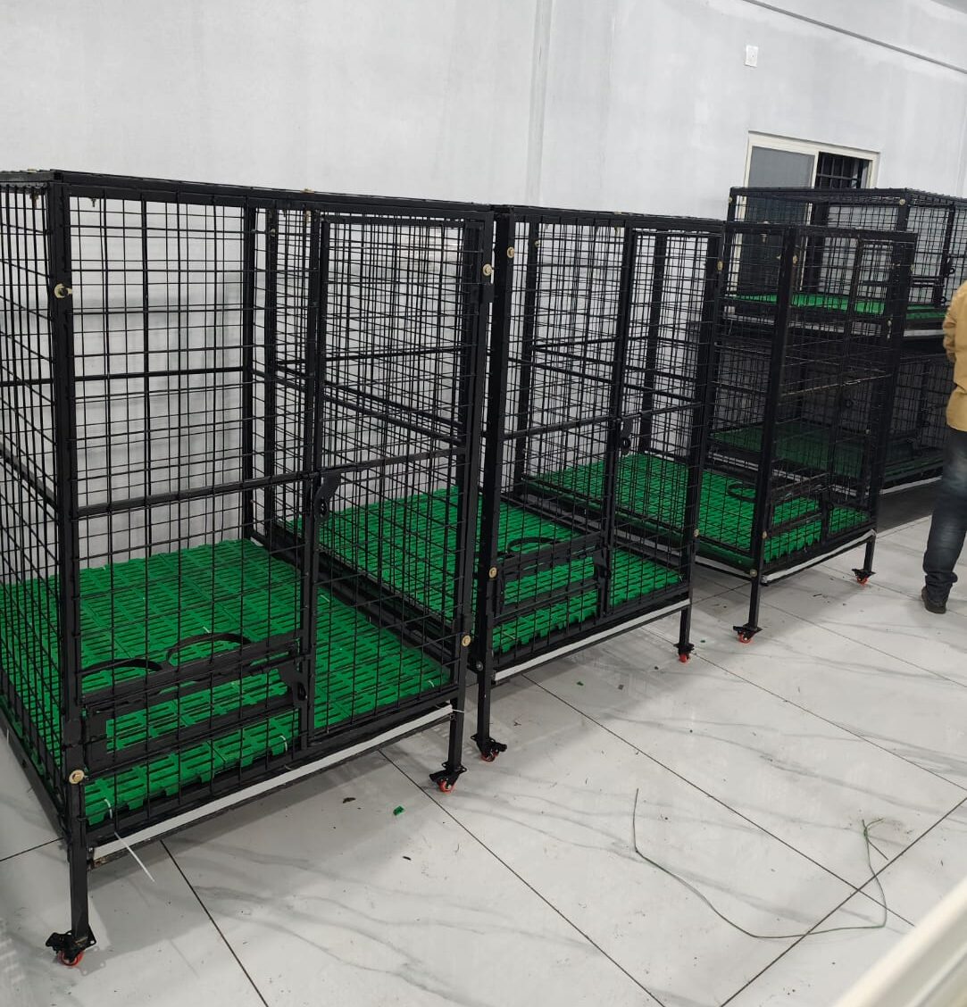 Dog Cage