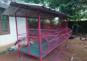 Hen cage
